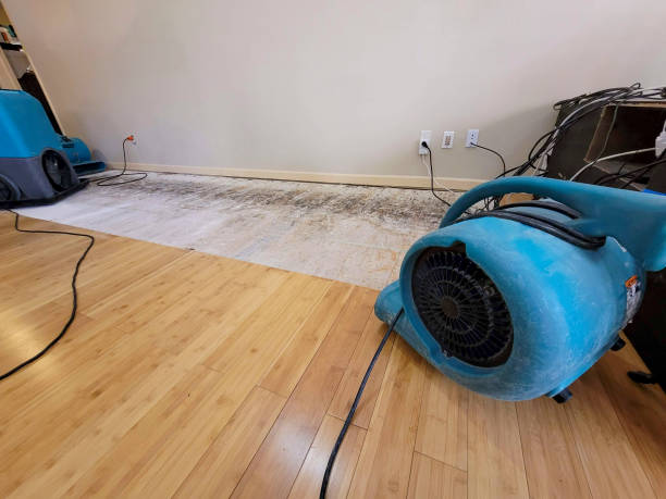 Professional Structural Drying technician working in Byesville, OH